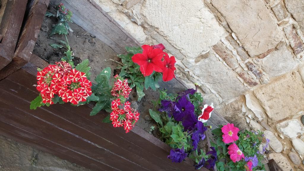 Maroni Teacher'S House מראה חיצוני תמונה