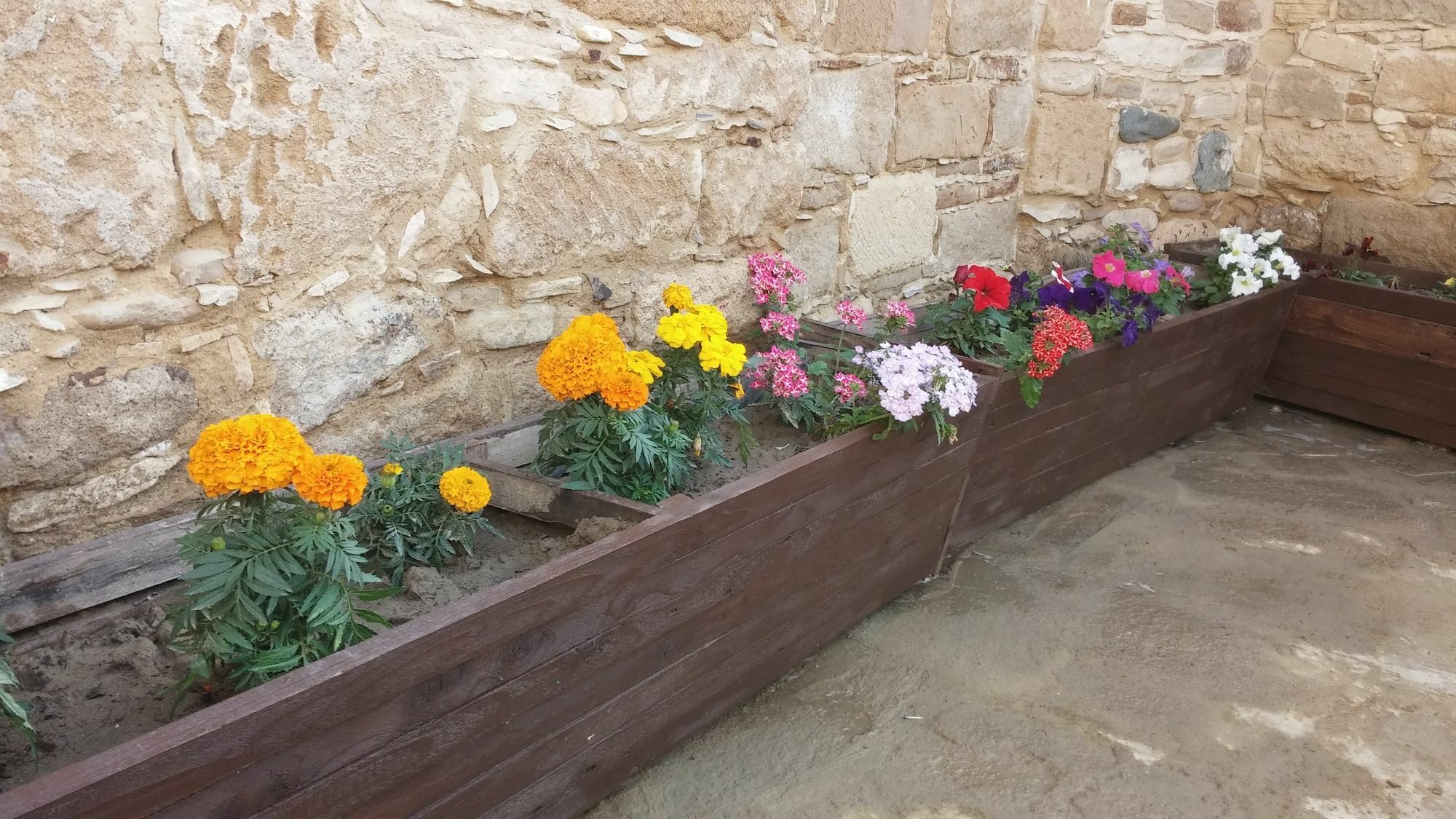Maroni Teacher'S House מראה חיצוני תמונה