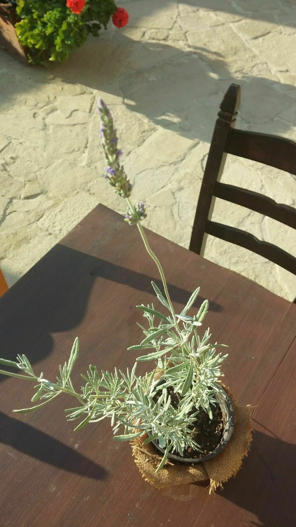 Maroni Teacher'S House מראה חיצוני תמונה